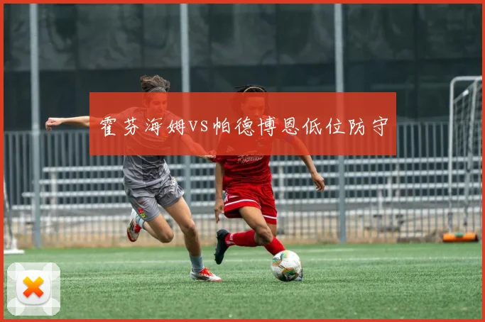 霍芬海姆vs帕德博恩低位防守